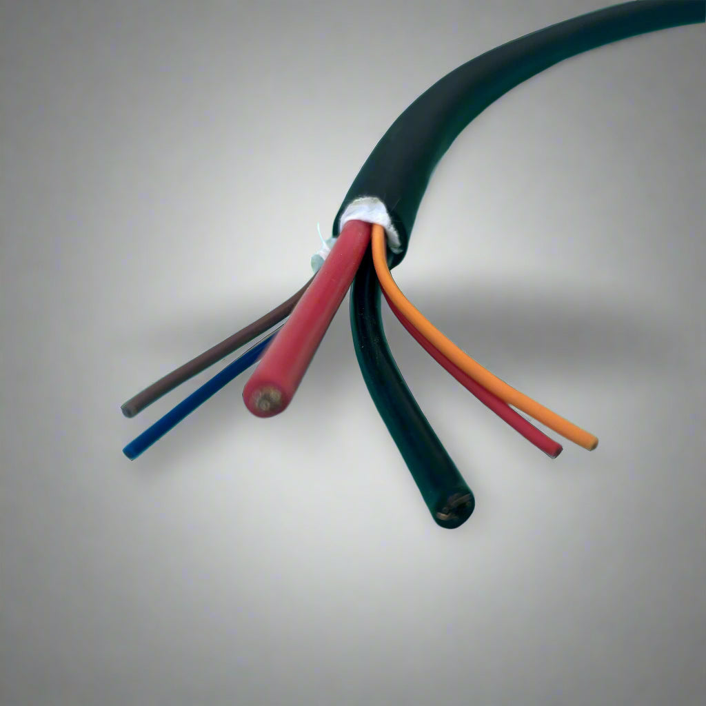 Battery Charging Cable (Heavy Duty) - Chagori 2 + 4 with 6 wires (Male) (CAN) (Type 2)