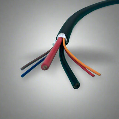 Battery Charging Cable (Heavy Duty) - Chagori 2 + 4 with 6 wires (Male) (CAN) (Type 2)
